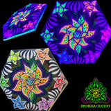 Rainbow Rose