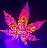 Firelight of my Life